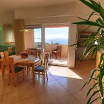Molina Apartmán *